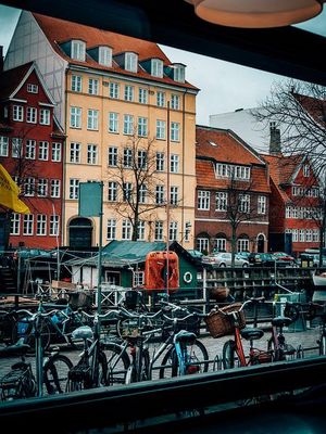 Green Wave traffic lights for cyclists (Copenhagen, Denmark)