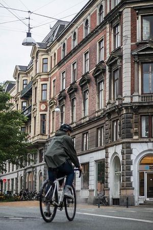 Urban cycling traffic management (Copenhagen, Denmark)